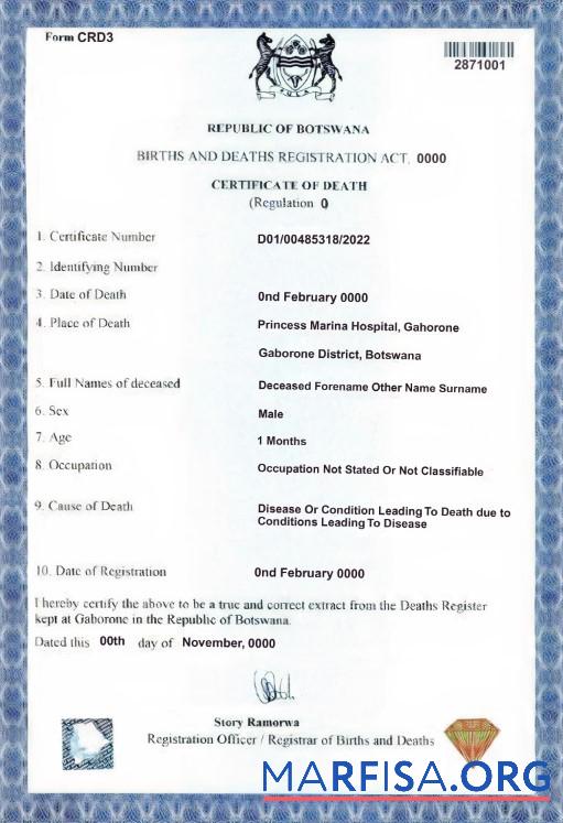 Printable Botswana death certificate template in PSD format